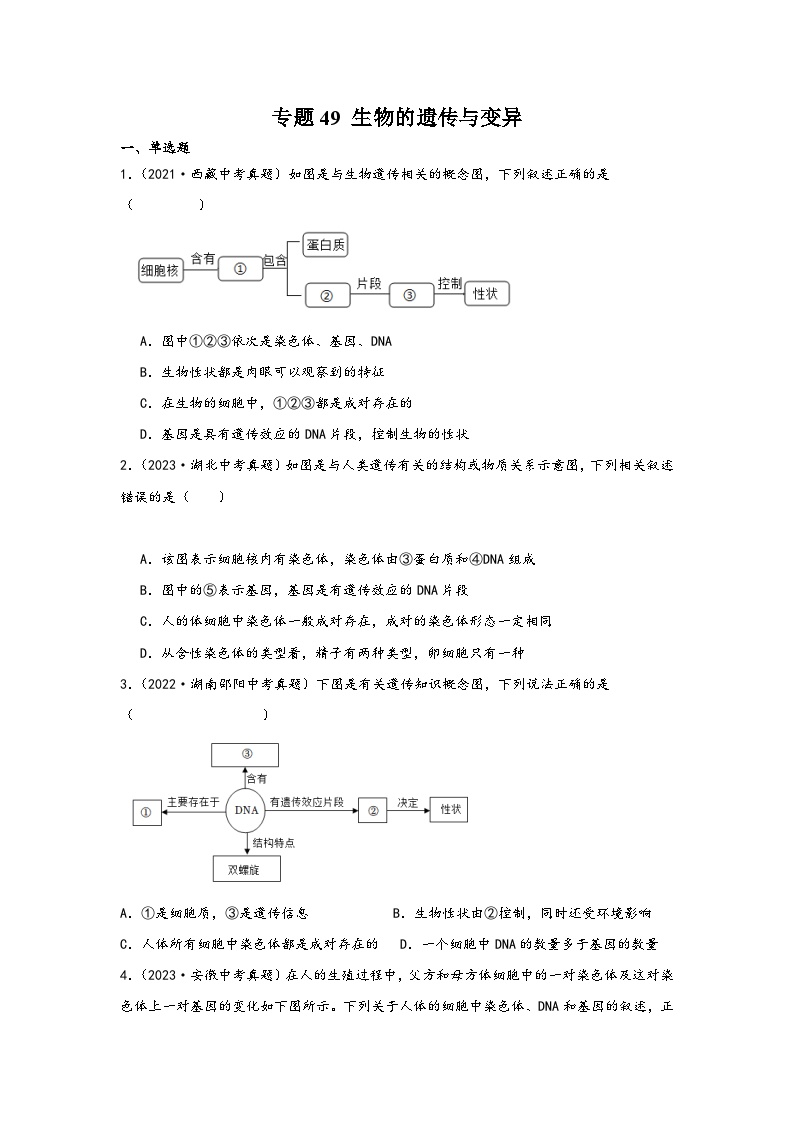 中考科学三年(2021-2023)真题分项汇编(浙江专用)专题49生物的遗传与变异专题特训(原卷版+解析)