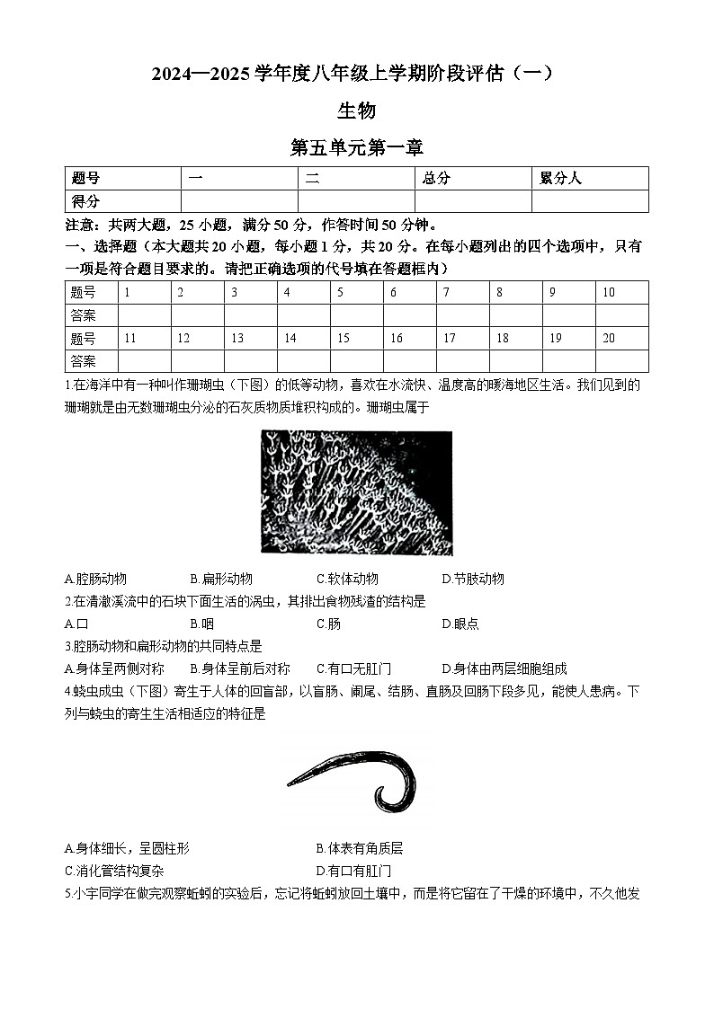 河南省周口市郸城县多校2024-2025学年八年级上学期第一次月考生物试题(无答案)第1页