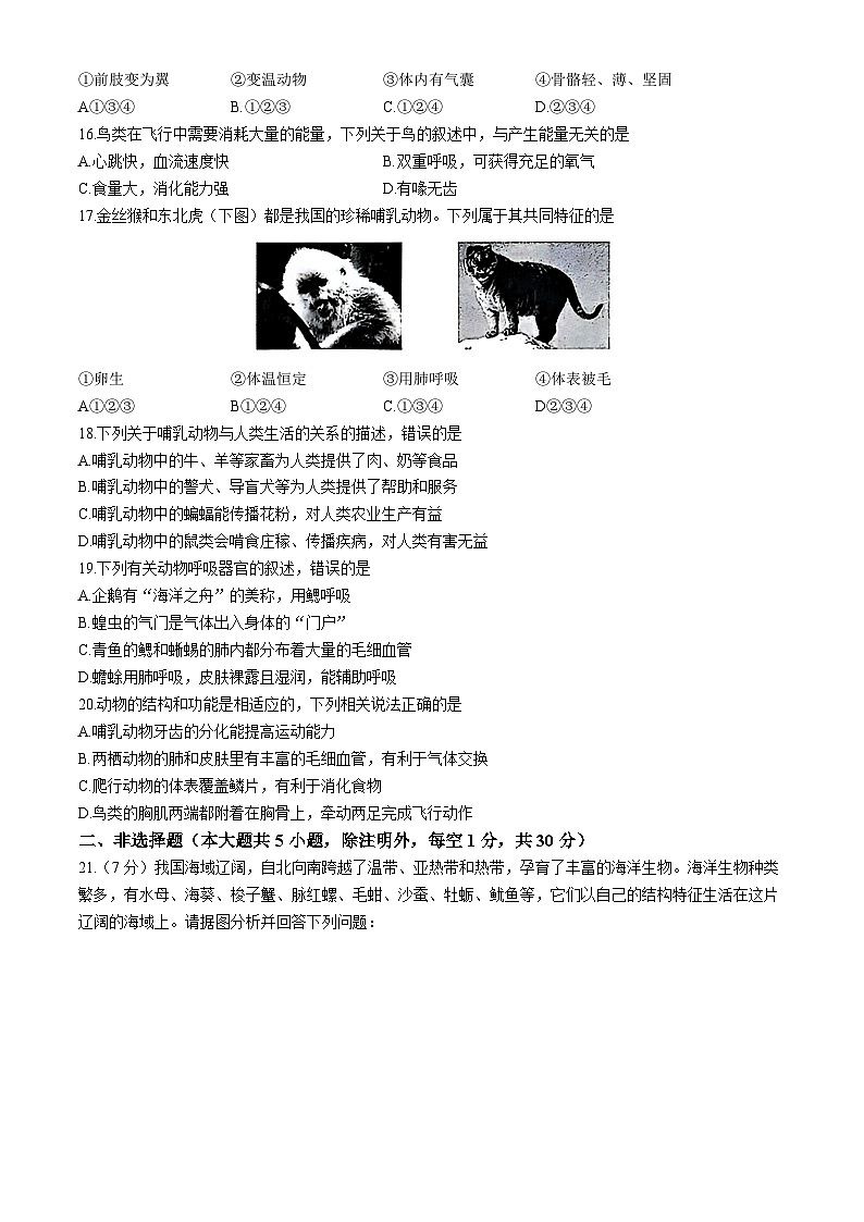 河南省周口市郸城县多校2024-2025学年八年级上学期第一次月考生物试题(无答案)第3页