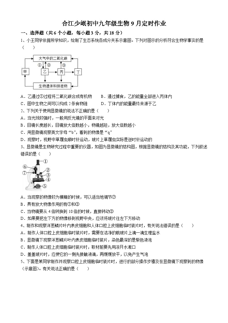 四川省泸州市合江县少岷初中2024-2025学年九年级上学期9月月考生物试题(无答案)