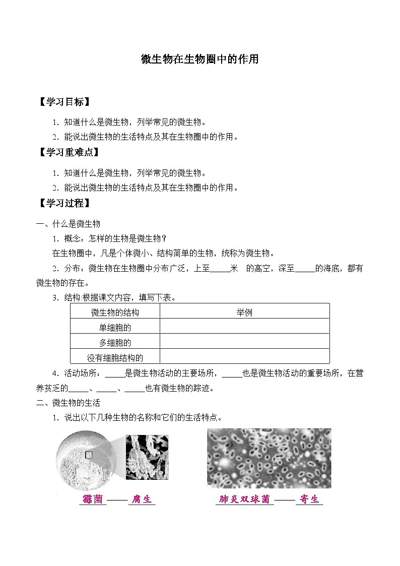 北师大版生物八年级上册18.1微生物在生物圈中的作用_学案01