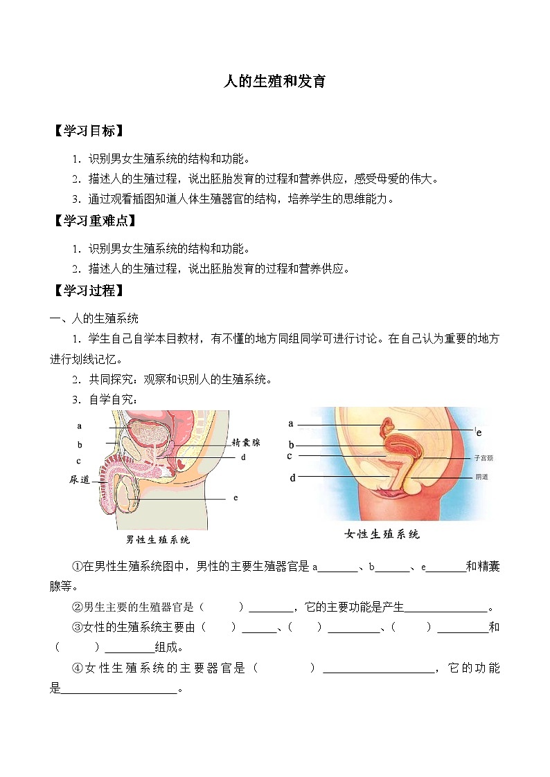 北师大版生物八年级上册19.1人的生殖和发育学案01