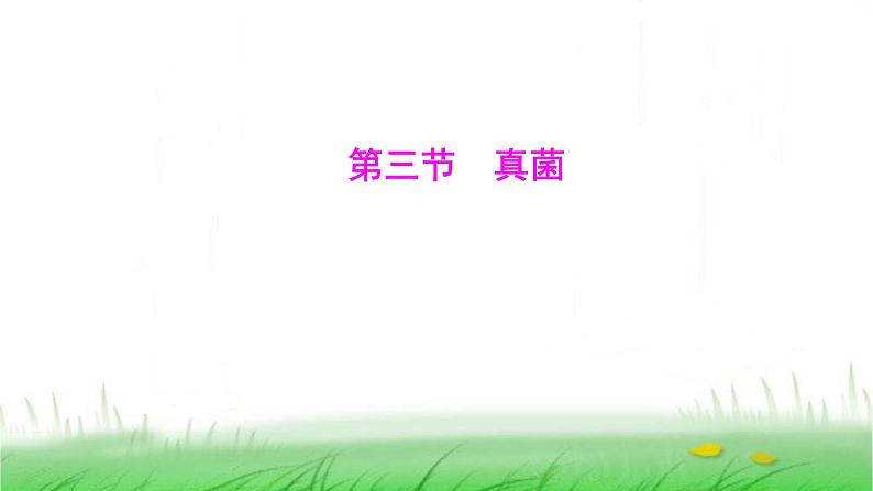 人教版七年级生物上册第二单元第三章第三节真菌课件第1页