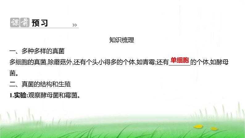 人教版七年级生物上册第二单元第三章第三节真菌课件第2页