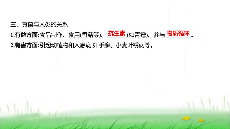 人教版七年级生物上册第二单元第三章第三节真菌课件第5页