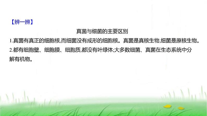 人教版七年级生物上册第二单元第三章第三节真菌课件第6页