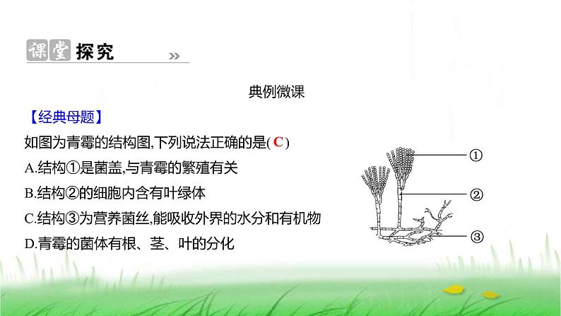 人教版七年级生物上册第二单元第三章第三节真菌课件第7页
