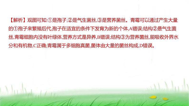 人教版七年级生物上册第二单元第三章第三节真菌课件第8页