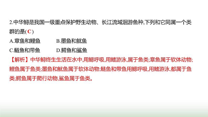 人教版八年级生物上册期末素养测评卷(提升)课件第3页