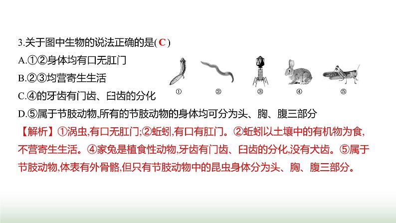 人教版八年级生物上册期末素养测评卷(提升)课件第4页
