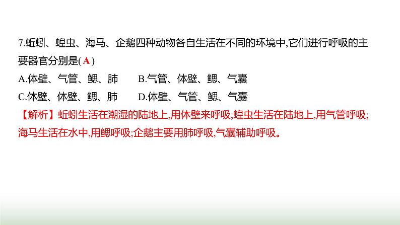 人教版八年级生物上册期末素养测评卷(提升)课件第8页