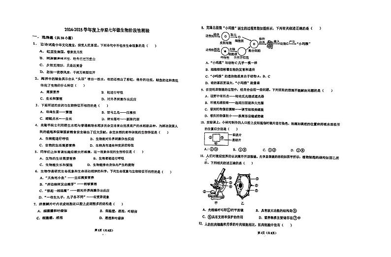 山东省青岛市城阳第九中学2024-—2025学年七年级上学期10月阶段性检测生物检测试卷第1页