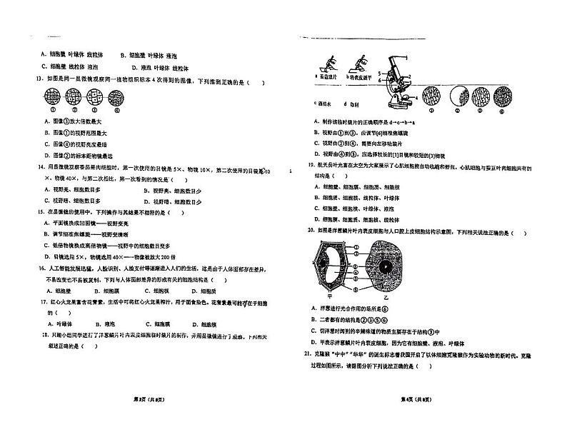 山东省青岛市城阳第九中学2024-—2025学年七年级上学期10月阶段性检测生物检测试卷第2页