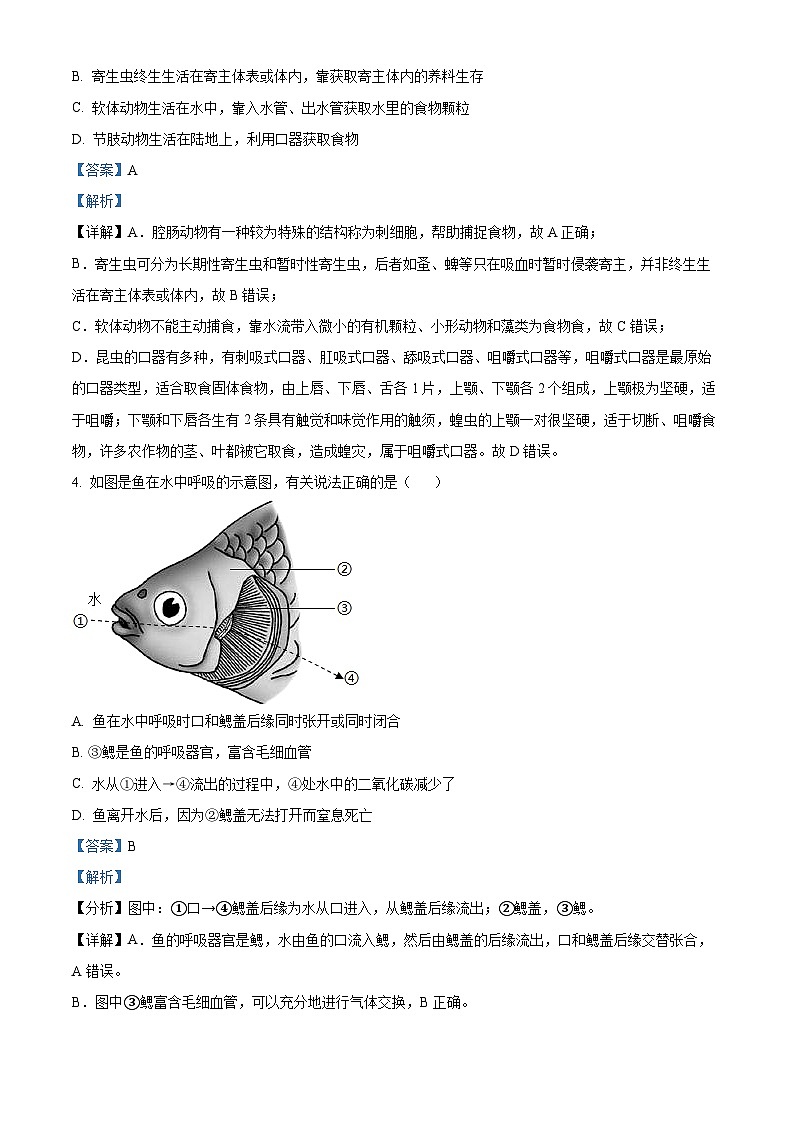 吉林省长春市力旺实验初级中学2024-2025学年八年级上学期第一次月考生物学试题(解析版)第2页