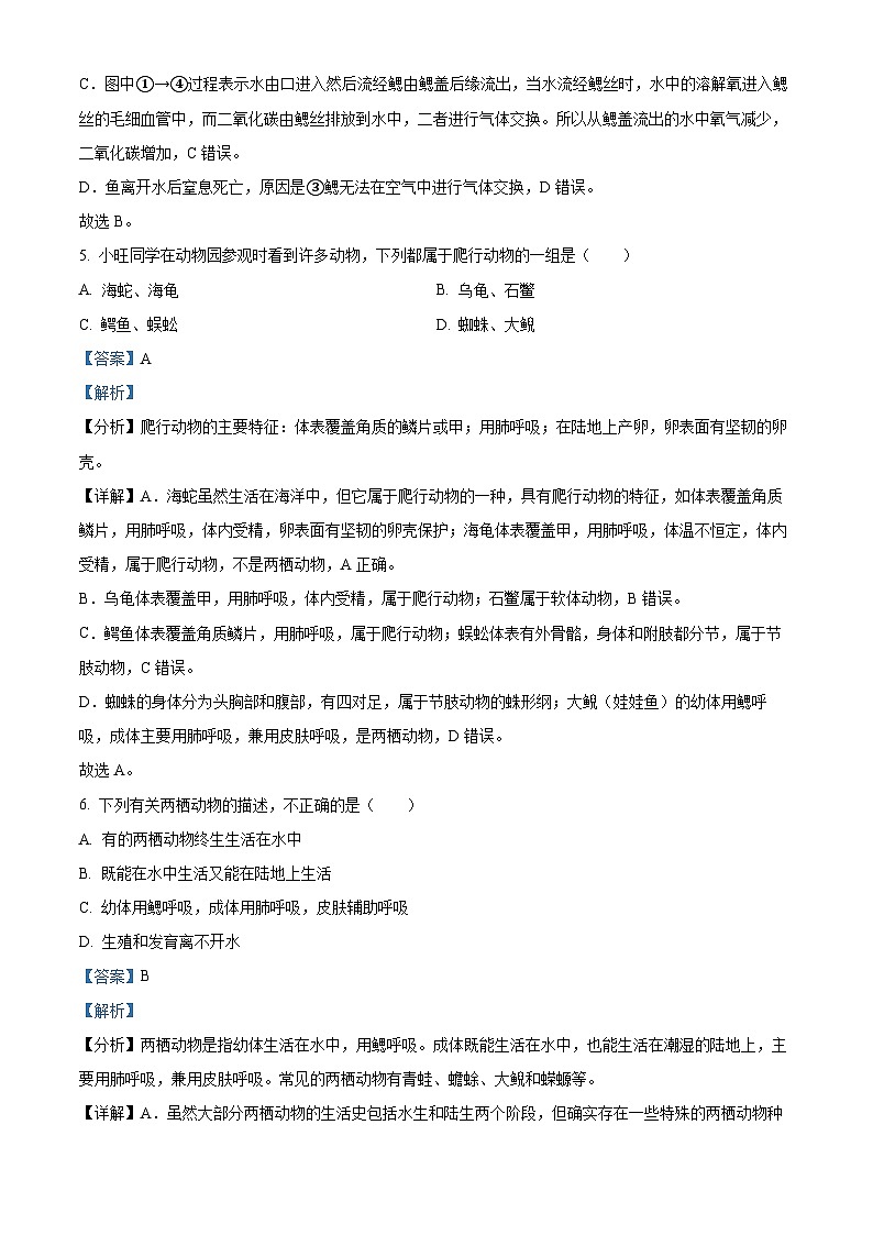 吉林省长春市力旺实验初级中学2024-2025学年八年级上学期第一次月考生物学试题(解析版)第3页