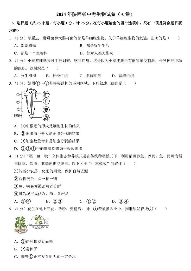 2024年陕西省中考生物试卷(AB合卷)附参考答案第1页