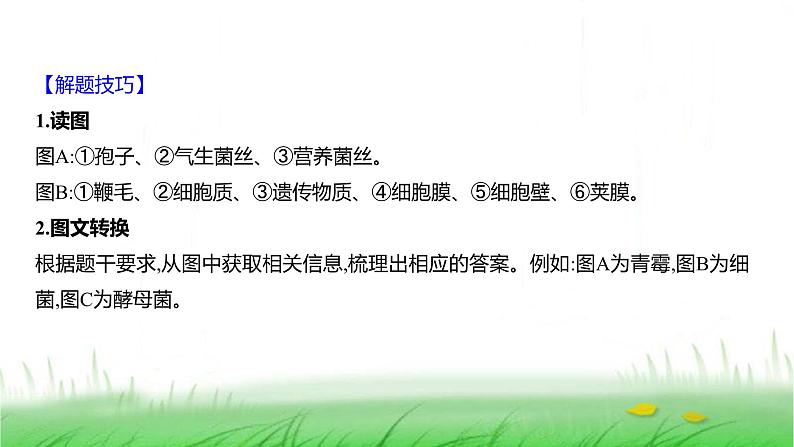 人教版七年级生物上册素养提升专项课件第5页