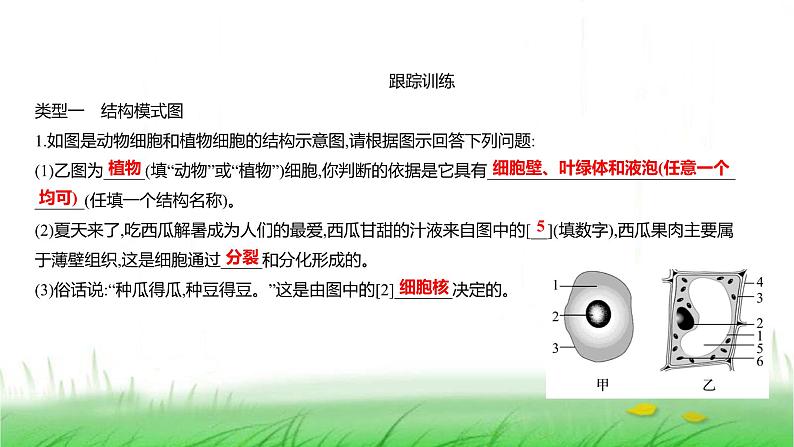 人教版七年级生物上册素养提升专项课件第6页
