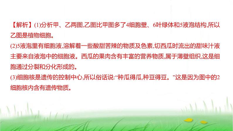 人教版七年级生物上册素养提升专项课件第7页