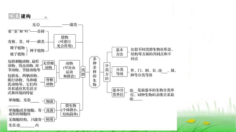 人教版七年级生物上册第二单元综合回顾课件第2页