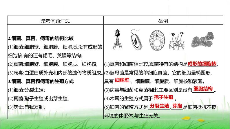 人教版七年级生物上册第二单元综合回顾课件第7页