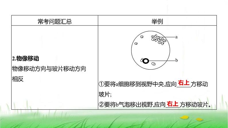 人教版七年级生物上册第一单元综合回顾课件第4页