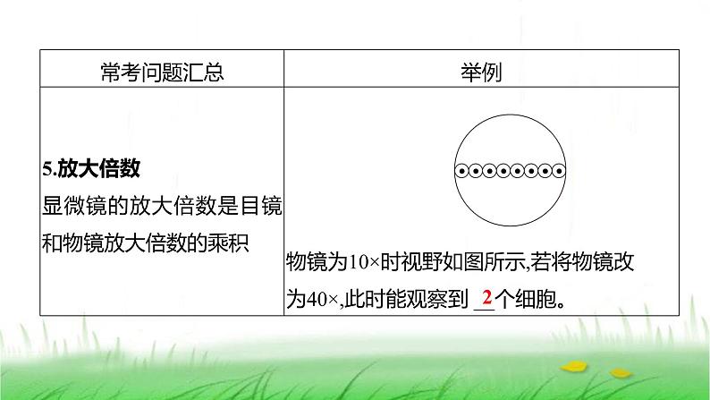 人教版七年级生物上册第一单元综合回顾课件第6页