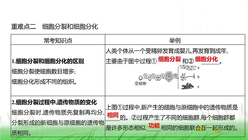 人教版七年级生物上册第一单元综合回顾课件第7页