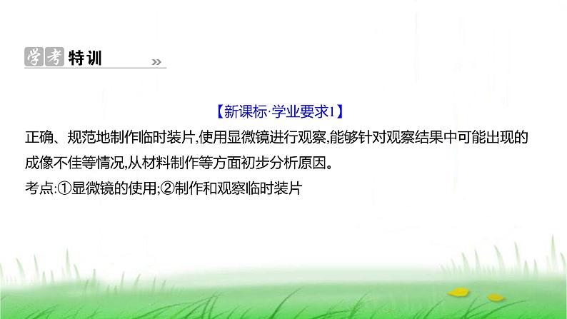 人教版七年级生物上册第一单元综合回顾课件第8页