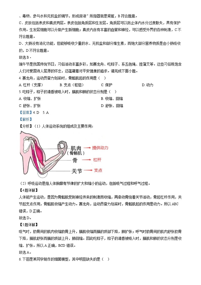 2024年江西省中考生物真题(解析版)第2页