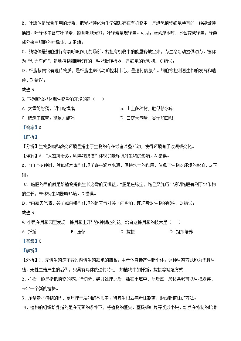 2024年山东省烟台市中考生物真题(解析版)第2页