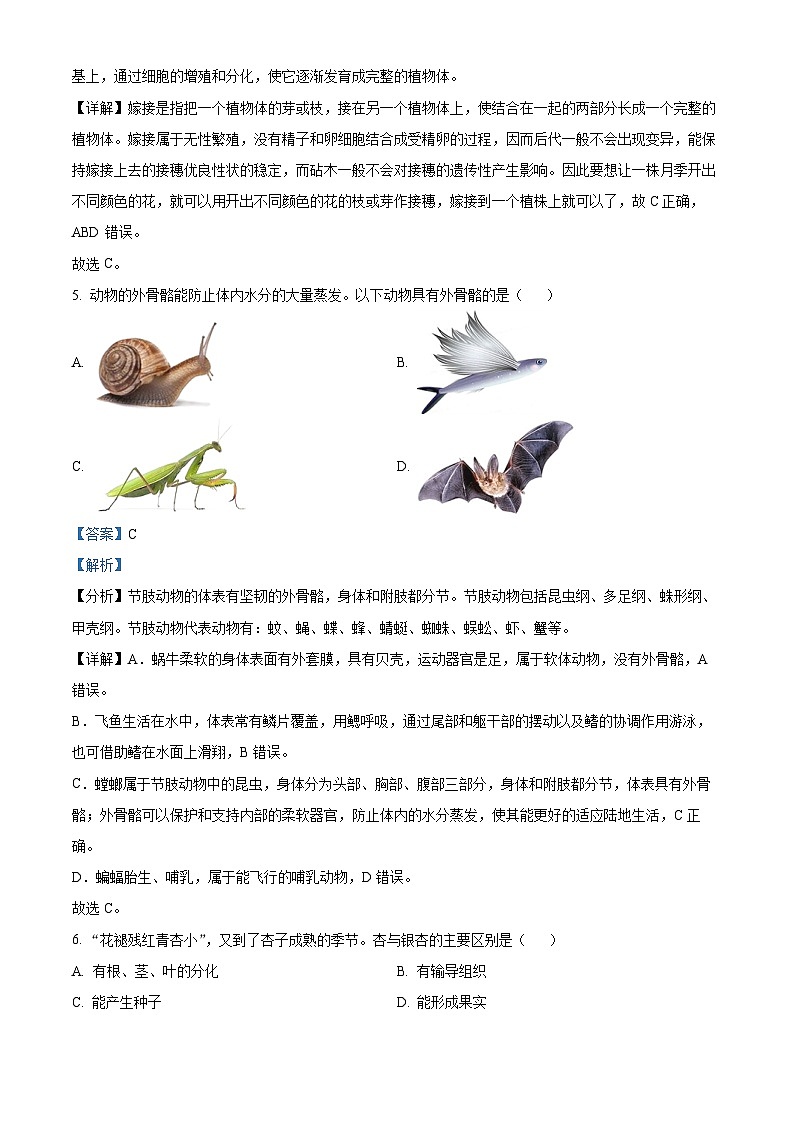 2024年山东省烟台市中考生物真题(解析版)第3页