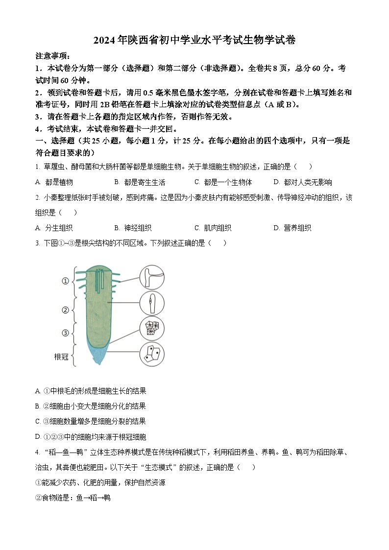 2024年陕西省中考生物真题（原卷版）