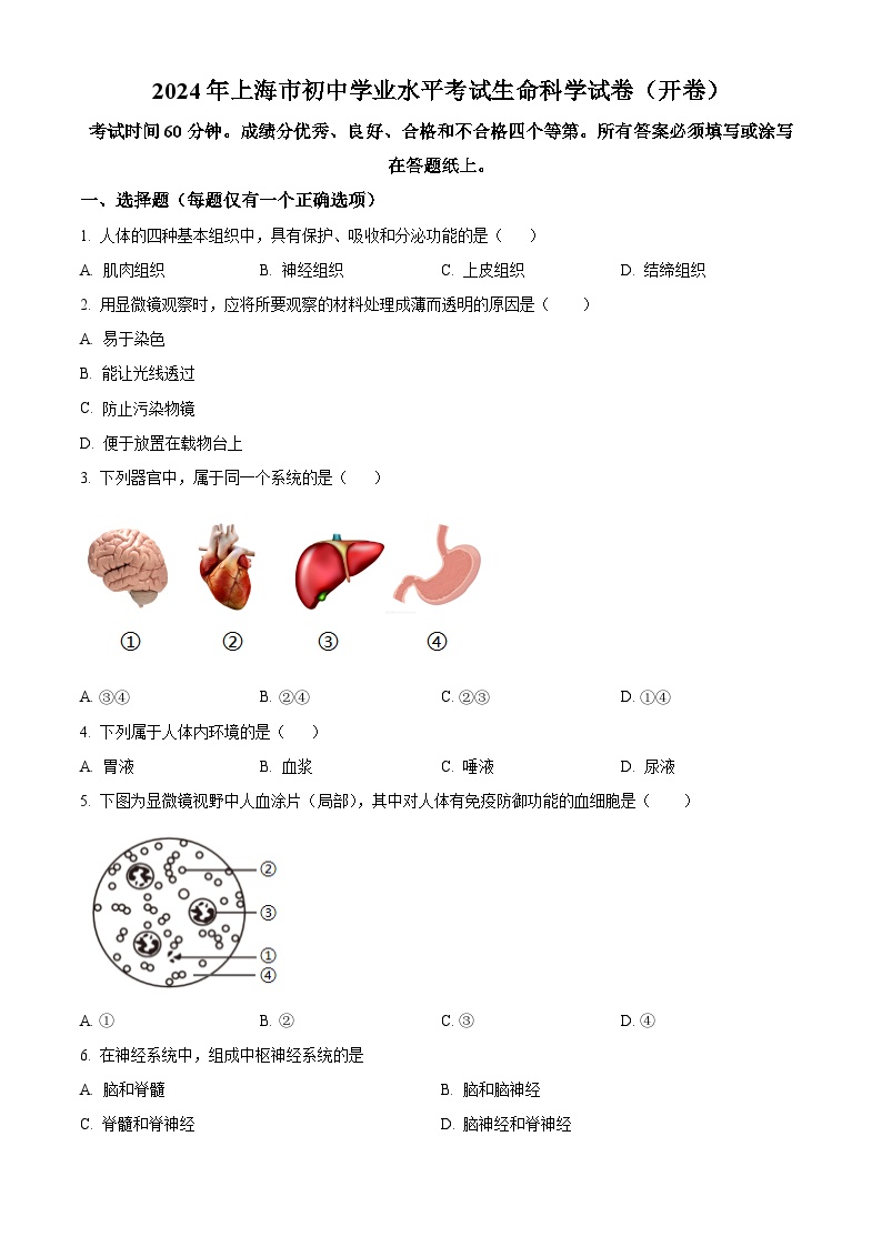 2024年上海市中考生物真题（原卷版）