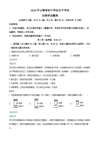 2024年云南省中考生物真题（解析版）