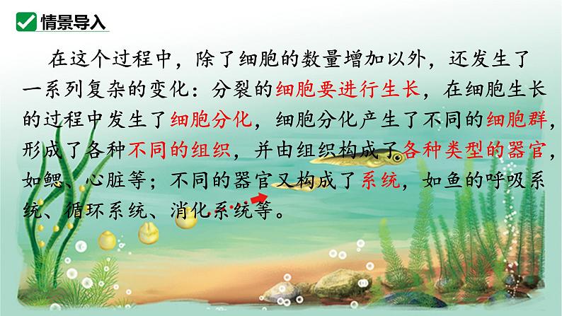 人教版生物七年级上册1.3.2《动物体的结构层次》(教学课件)第4页