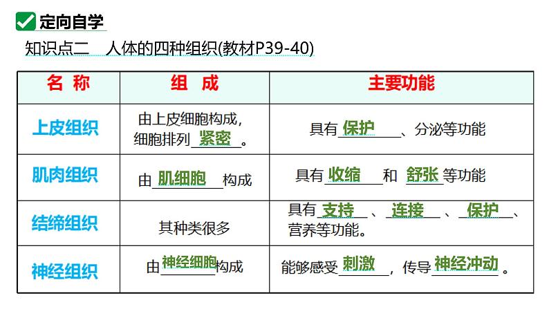 人教版生物七年级上册1.3.2《动物体的结构层次》(教学课件)第6页