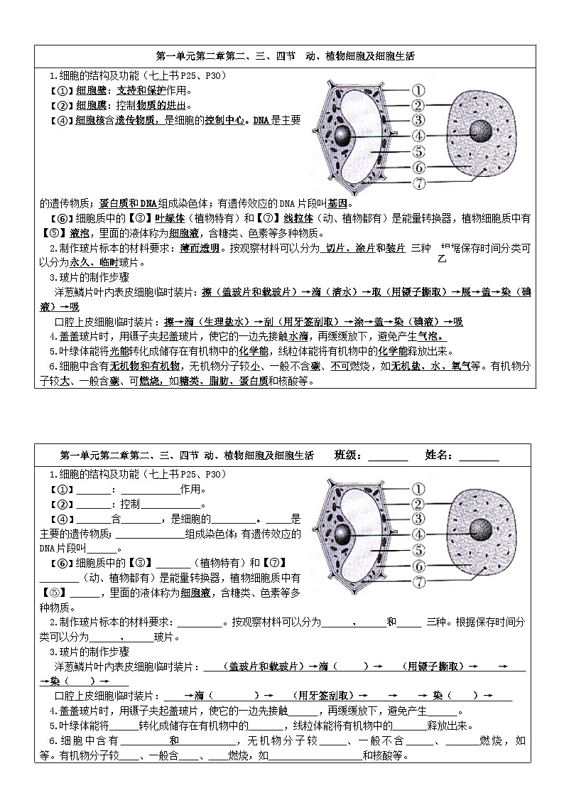 人教版(2024新版)七年级上册生物期末复习知识点背默卡片第3页