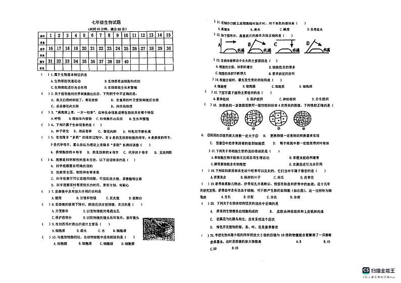 山东省青岛市城阳区青岛培文学校2024--2025学年七年级上学期10月月考生物试题第1页