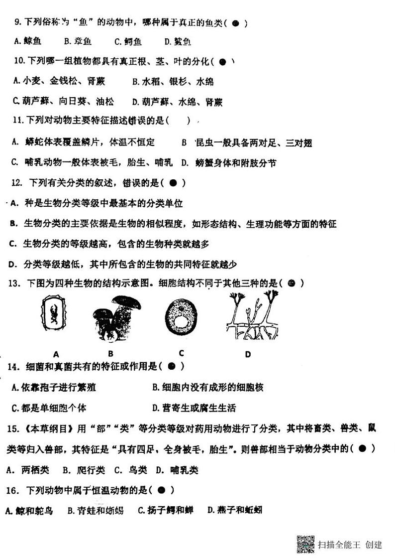 辽宁省沈阳市培英中学2024-2025学年八年级上学期10月月考生物试卷第2页