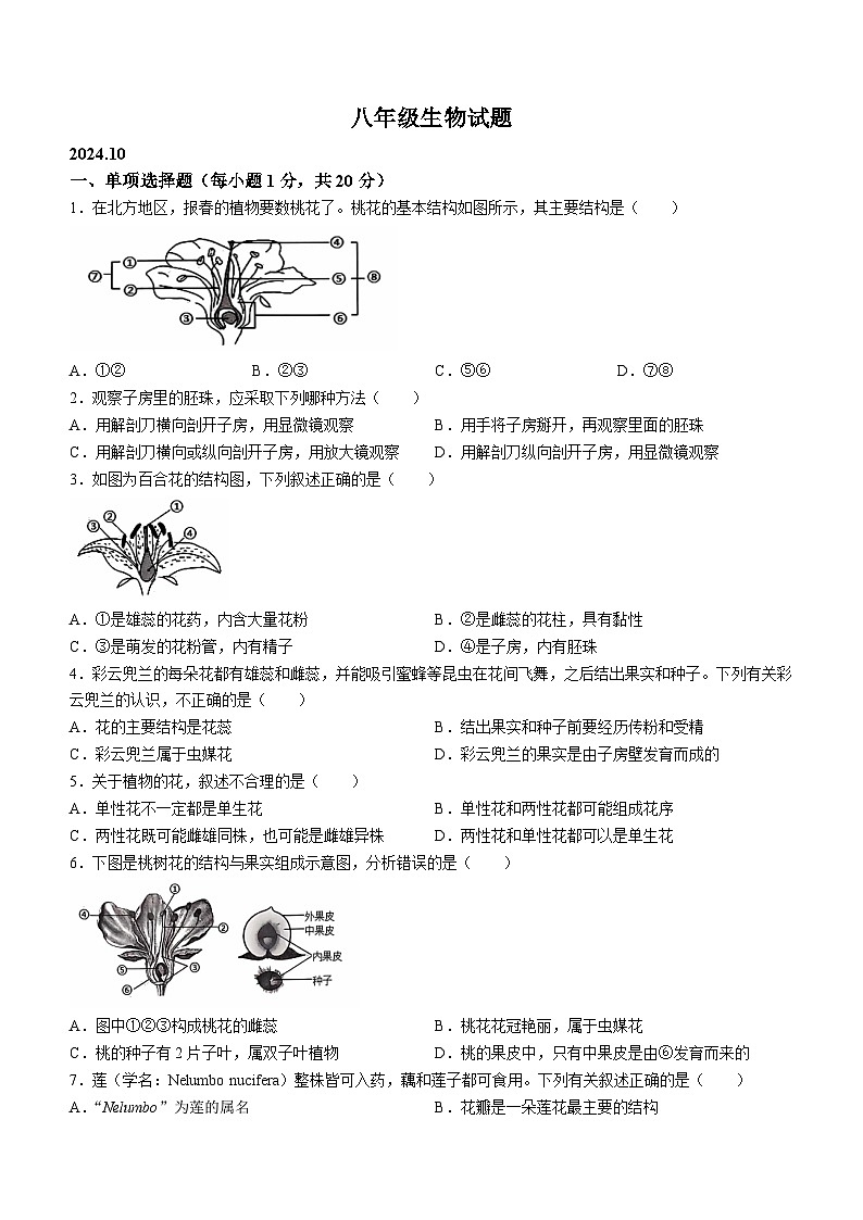 山东省菏泽市菏泽经济技术开发区2024-2025学年八年级上学期10月月考生物试题(无答案)01