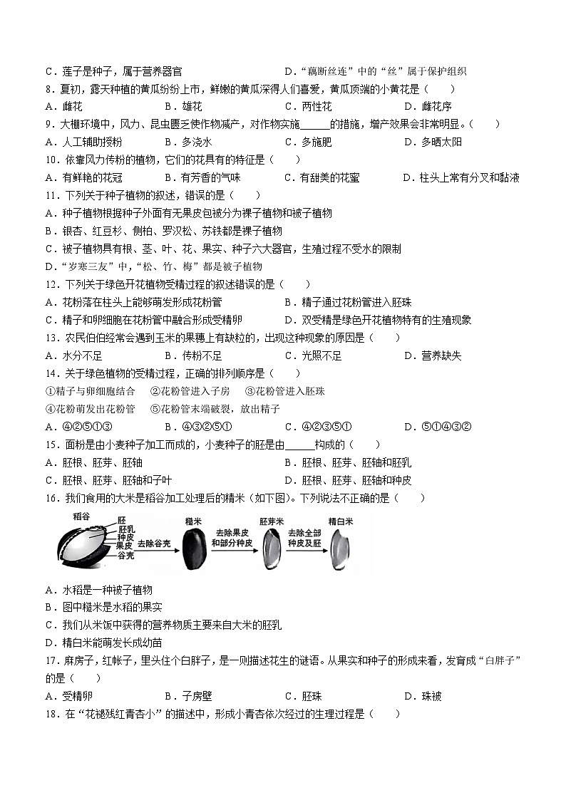 山东省菏泽市菏泽经济技术开发区2024-2025学年八年级上学期10月月考生物试题(无答案)02