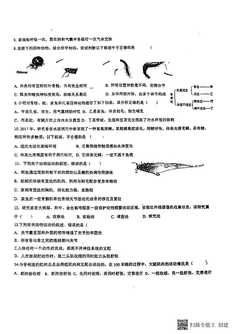 六中生物初二上学期月考第2页