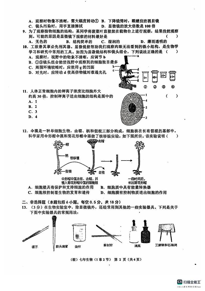 辽宁省鞍山市岫岩满族自治县2024-2025学年七年级上学期10月月考生物试题第2页