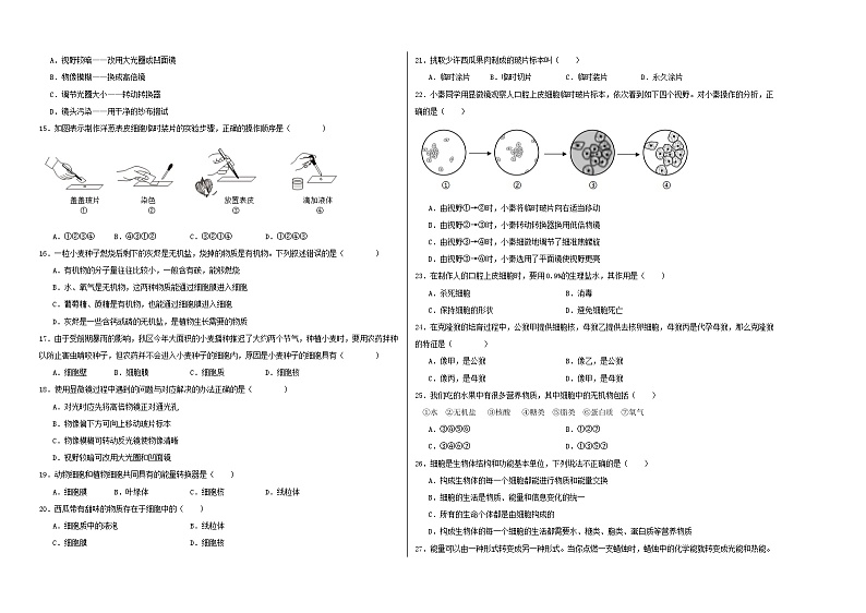 山东省临沂市平邑县德威学校2024-2025学年七年级上学期第一次月考生物试题02