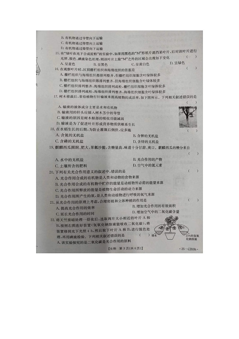 河北省保定市高碑店市2024-2025学年八年级上学期10月月考生物试题第3页