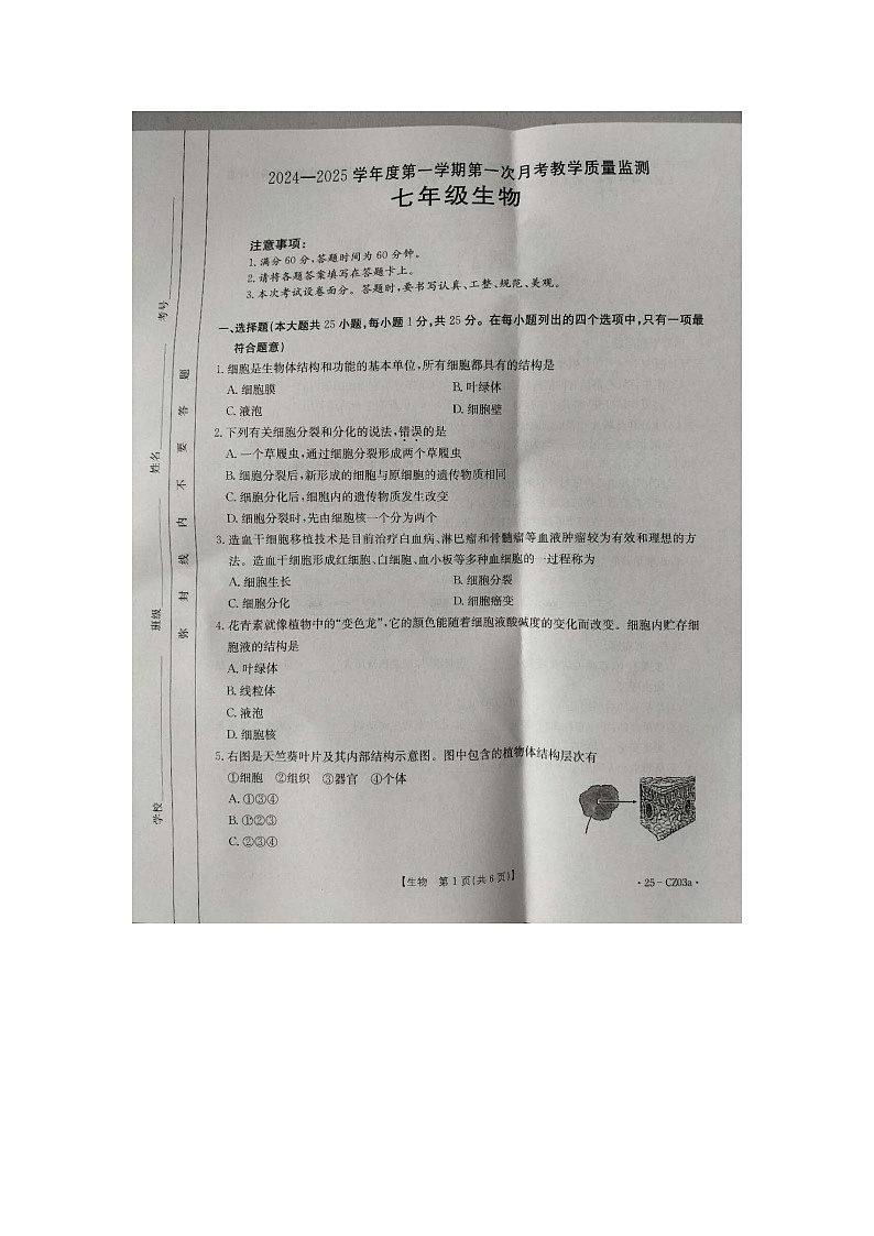 河北省保定市高碑店市2024-2025学年七年级上学期10月月考生物试题第1页