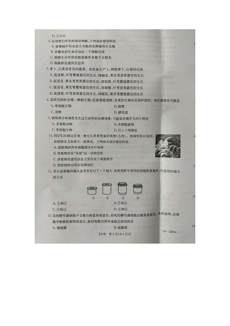 河北省保定市高碑店市2024-2025学年七年级上学期10月月考生物试题第2页