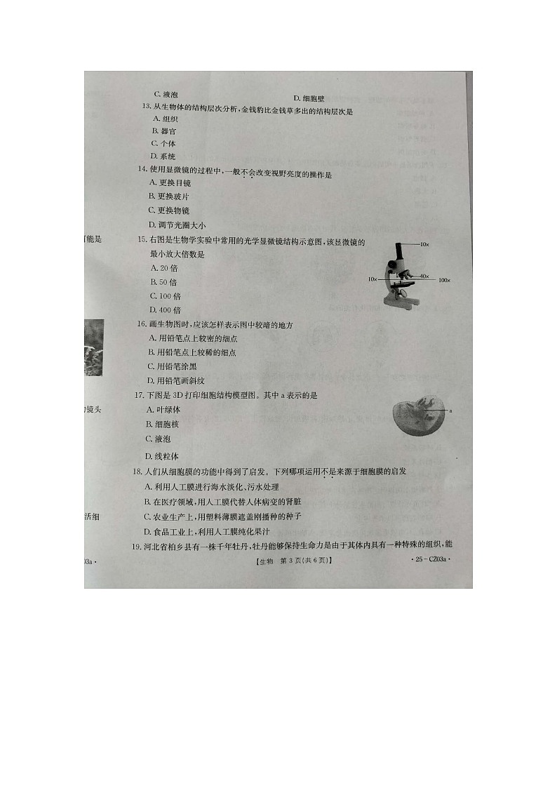 河北省保定市高碑店市2024-2025学年七年级上学期10月月考生物试题第3页