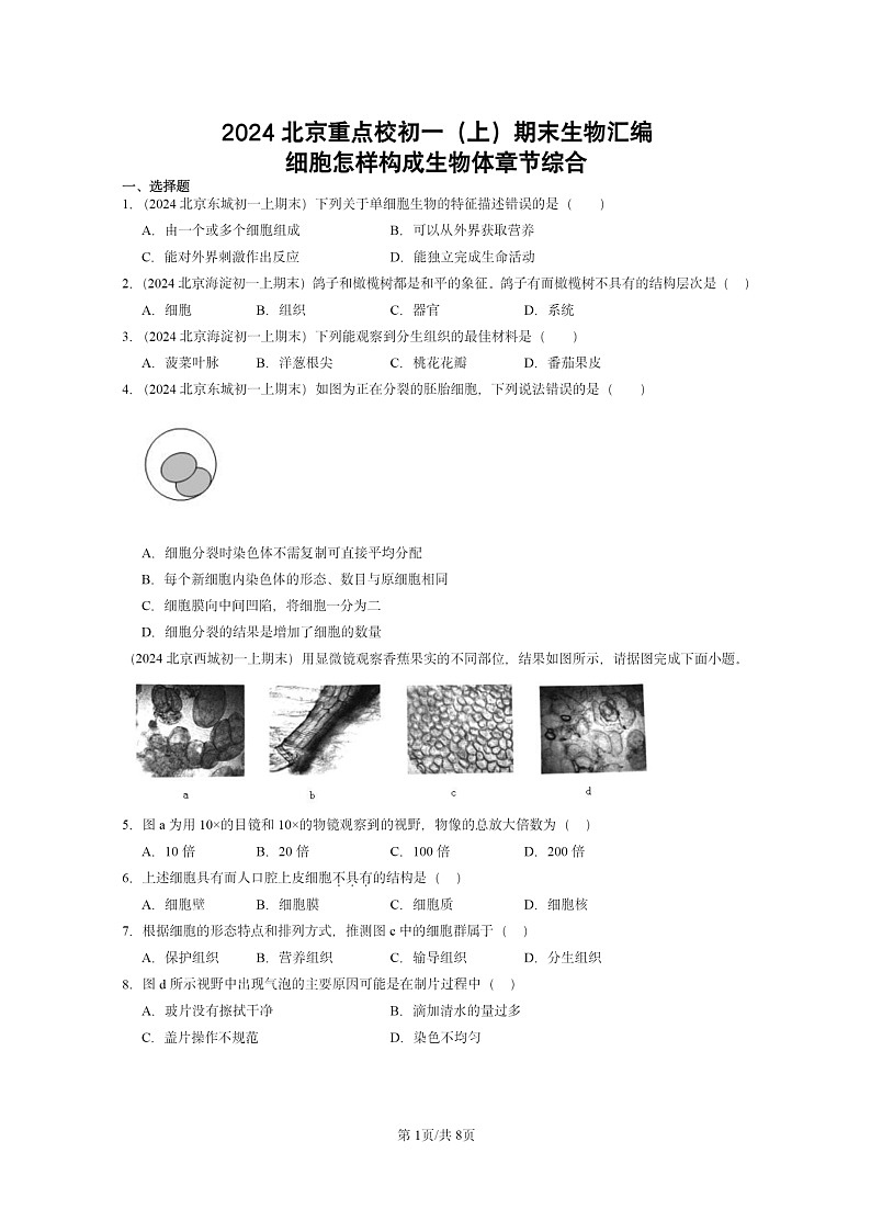 [生物]2024北京重點校初一上學(xué)期期末真題分類匯編：細胞怎樣構(gòu)成體章節(jié)綜合第1頁